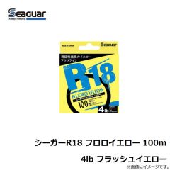 クレハ　シーガーR18 フロロイエロー 100m 4lb フラッシュイエロー