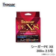 クレハ　シーガーPE X8 300m 2.5号