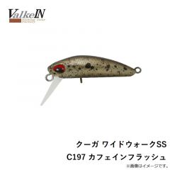 ヴァルケイン　クーガ ワイドウォークSS C197 カフェインフラッシュ