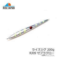 ライズジャパン　ライズジグ 175g #RJ04 グリーンゴールド