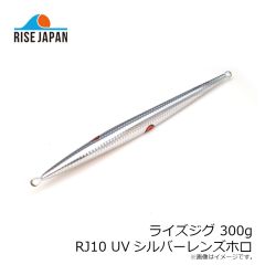 ライズジャパン　ライズジグ 175g #RJ04 グリーンゴールド