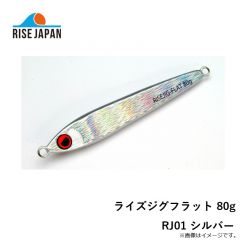 ライズジャパン　ライズジグフラット 80g RJ01 シルバー