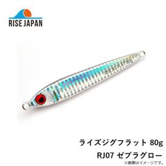 ライズジャパン　ライズジグフラット 80g RJ07 ゼブラグロー
