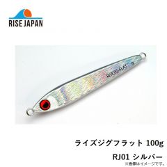 ライズジャパン　ライズジグフラット 100g RJ01 シルバー