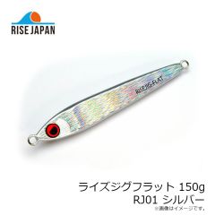 ライズジャパン　ライズジグフラット 150g #RJ01 シルバー