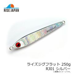 ライズジャパン　ライズジグフラット 175g #RJ15 リアグロー