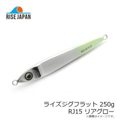 ライズジャパン　ライズジグフラット 175g #RJ15 リアグロー