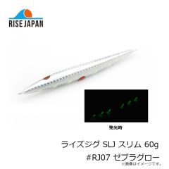 ライズジャパン ライズジグ SLJ スリム 60g #RJ07 ゼブラグロー