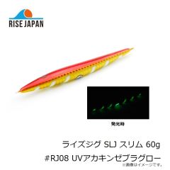 ライズジャパン ライズジグ SLJ スリム 60g #RJ07 ゼブラグロー