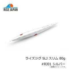 ライズジャパン ライズジグ SLJ スリム 80g #RJ01 シルバー