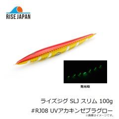 ライズジャパン ライズジグ SLJ スリム 100g #RJ04 グリーンゴールド