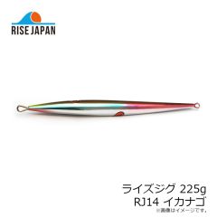 ライズジャパン　ライズジグ 175g #RJ04 グリーンゴールド