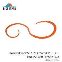 ライズジャパン　なみだまネクタイ ちょうどよカーリー #NC22 セキリン