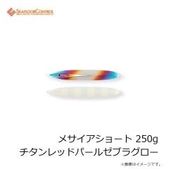 シーフロアコントロール　メサイアショート 180g シルバー