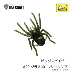 ガンクラフト　アイルトン63MR #15 チャートヌマエビ