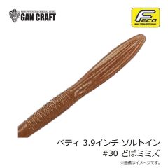 ガンクラフト　ベティ 3.9インチ ソルトイン #29 グラスメロンシュリンプ