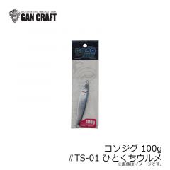 ガンクラフト　コソジグ 100g #TS-01 ひとくちウルメ(谷山オリカラ)