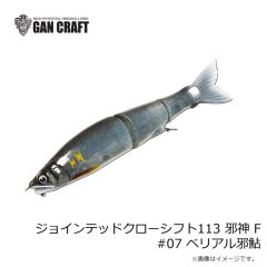 ガンクラフト　ジョインテッドクローシフト113 邪神 F #05 紀州鮎