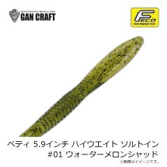 ガンクラフト　ベティ 5.9インチ ハイウエイト ソルトイン #32 ミゾレヌマエビ