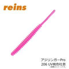 レイン　アジリンガーPro 205 UV瀬戸内チャート