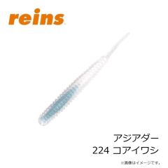レイン　アジアダー 181 GSちりめん