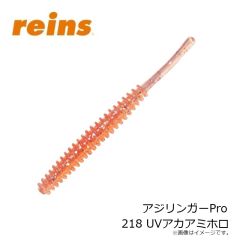 レイン　アジリンガーPro 205 UV瀬戸内チャート