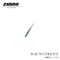 マーズ　R-32 ブルピンイワシ