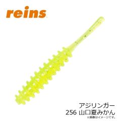 レイン　アジリンガー 232 コアシークレット