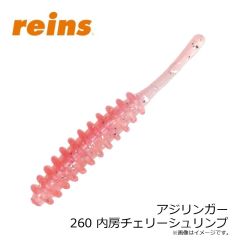レイン　アジリンガー 232 コアシークレット