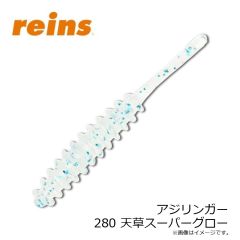 レイン　アジリンガー 263 福岡ブルーローズ