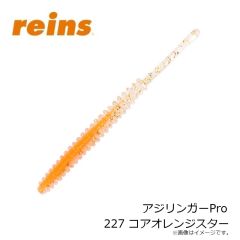 レイン　アジリンガーPro 205 UV瀬戸内チャート