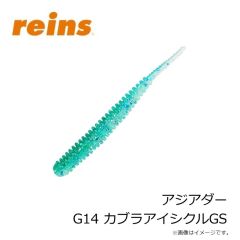 レイン　アジアダー G14 カブラアイシクルGS