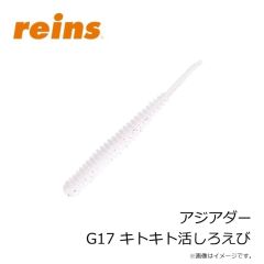 レイン　アジアダー G14 カブラアイシクルGS