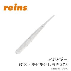 レイン　アジアダー G14 カブラアイシクルGS