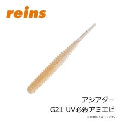 レイン　アジアダー G14 カブラアイシクルGS