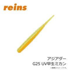 レイン　アジアダー G14 カブラアイシクルGS