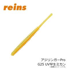 レイン　アジリンガーPro 205 UV瀬戸内チャート