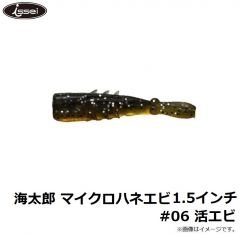 一誠　海太郎 ハネエビ 1.5インチ #006 活エビ