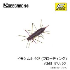 一誠　スパテラ 7.8インチ TS01 腹えびネオン(谷山オリカラ)