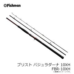 フィッシュマン　ブリスト バジュラダーナ 10XH FBR-10XH