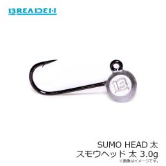 ブリーデン　SUMO HEAD スモウヘッド 太 3.0g