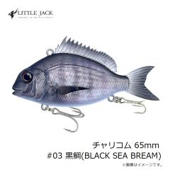 リトルジャック　アメザイクJP 55 #07 カタクチグローバック&ベリー