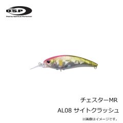 OSP　チェスターMR AL08 サイトクラッシュ