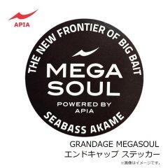 アピア　GRANDAGE NORTHERN LIGHTS NOVA エンドキャップ ステッカー