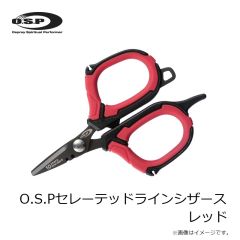 アイスフォーゲル　アモ Amo50 #34 クリアワカサギ