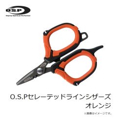 アイスフォーゲル　アモ Amo50 #34 クリアワカサギ