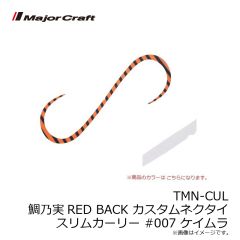 メジャークラフト　ファーストキャスト　FCS-862ML　シーバスロッド　釣り竿