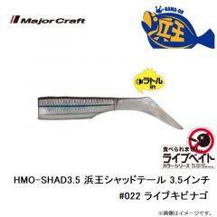 メジャークラフト　HMO-SHAD3.5 浜王シャッドテール 3.5インチ #022 ライブキビナゴ