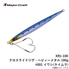 XRJ-100 クロスライドジグ・ヘビィーメタル 100g #001 イワシ(ケイムラ)
