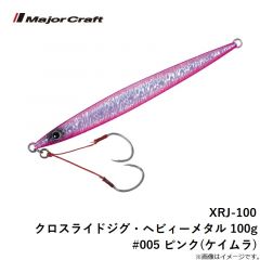 XRJ-100 クロスライドジグ・ヘビィーメタル 100g #005 ピンク(ケイムラ)
